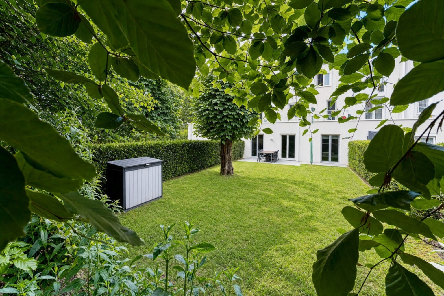 Tuin vanuit het groen
